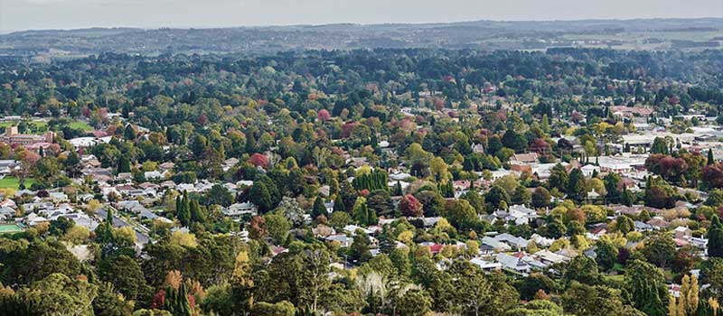 Grantus Blog - Collaborative Visioning