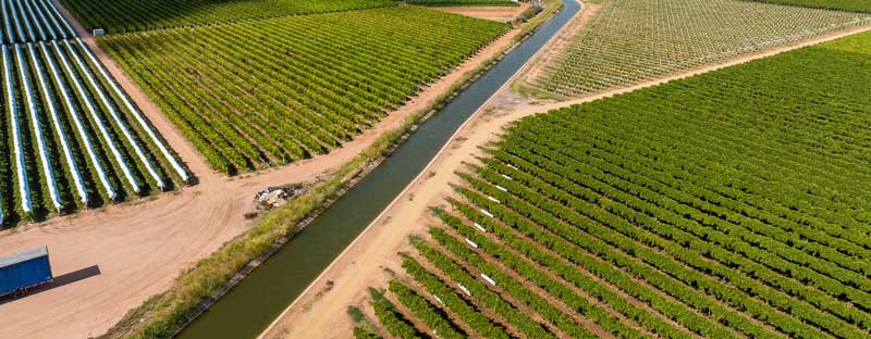 Grantus Blog - Sunraysia Water Efficiency Project