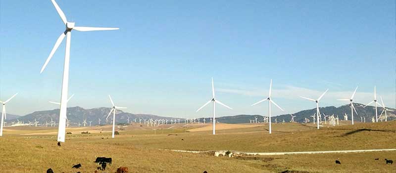 Grantus Blog - future-proofing